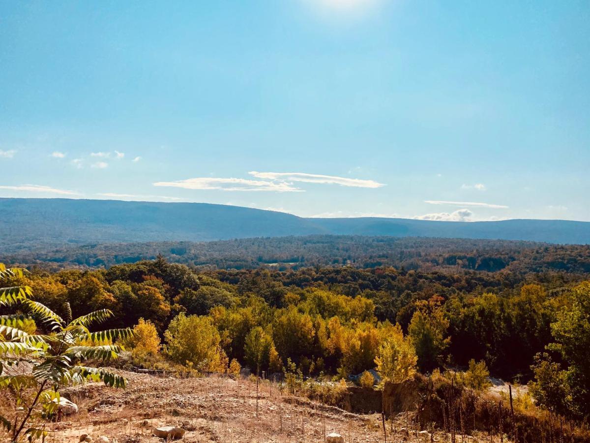 Arcady Mountain Motor Lodge Sunderland Dış mekan fotoğraf