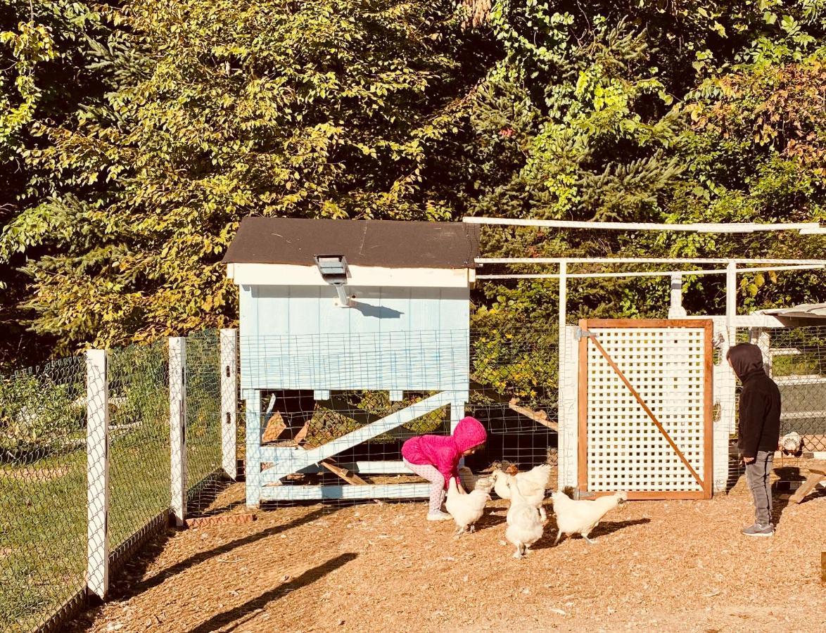 Arcady Mountain Motor Lodge Sunderland Dış mekan fotoğraf