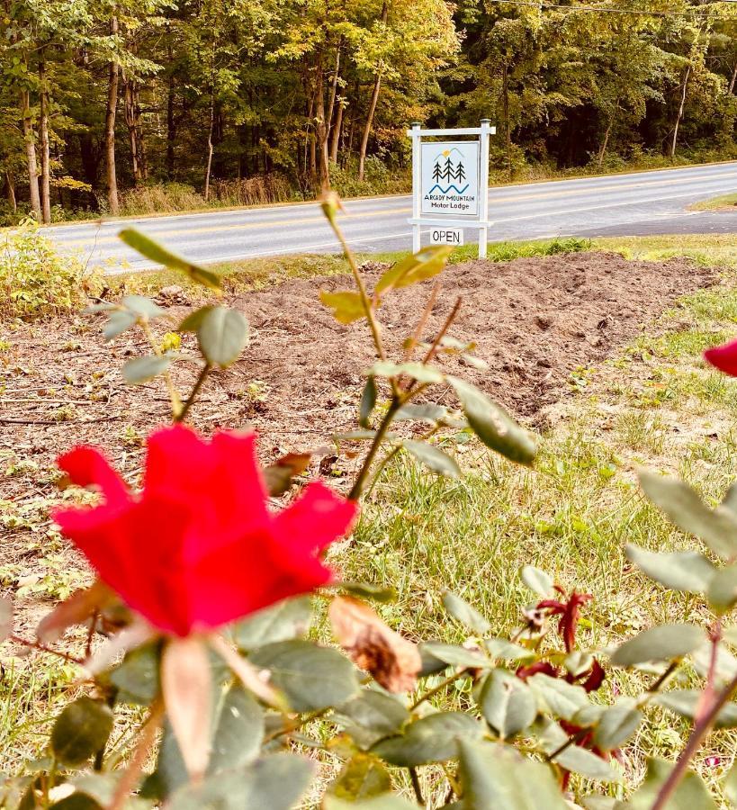 Arcady Mountain Motor Lodge Sunderland Dış mekan fotoğraf