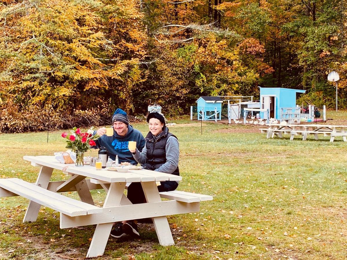 Arcady Mountain Motor Lodge Sunderland Dış mekan fotoğraf